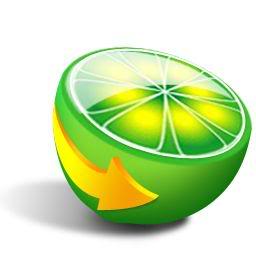 P2P : Limewire condamné, The Pirate Bay pourchassé